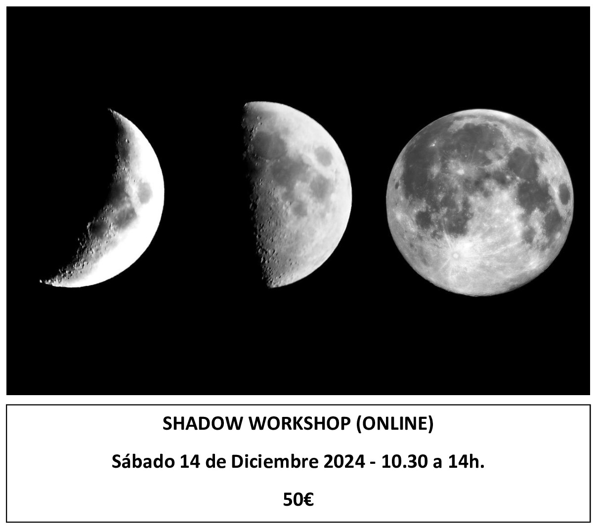 TALLER: SHADOW WORKSHOP
